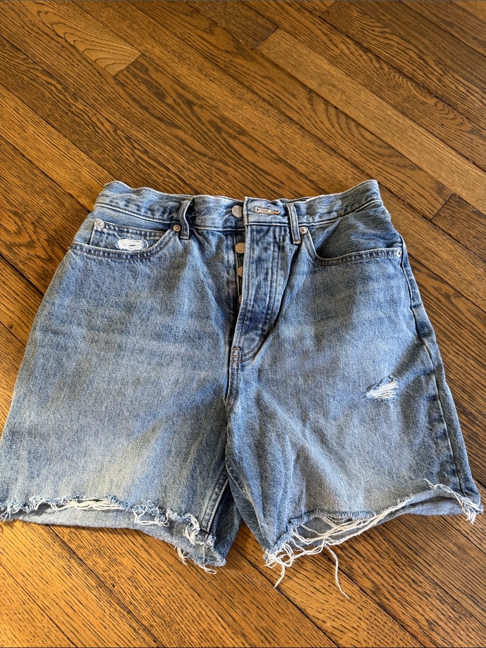 Everlane The Rigid Way High Short
